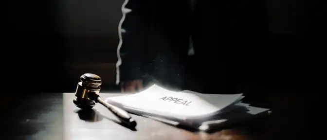 Судьба «Руси» под вопросом: адвокаты оспаривают суровые сроки для руководителей организаций ветеранов